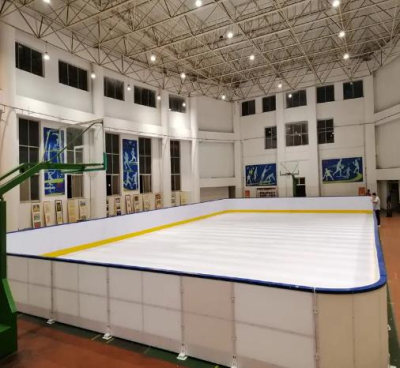 Synthetic Ice Floor Board