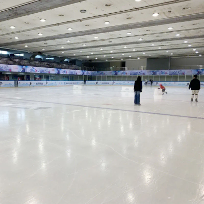 Extreme Glide Synthetic Ice Panels