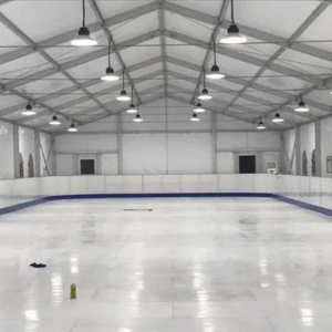 Hockey (Ice) rink dasher boards
