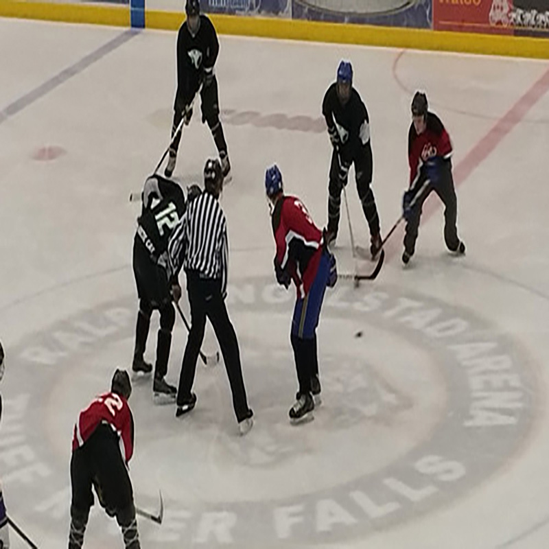 Portable Ice Hockey Dasher Board Portable Ice Hockey Dasher Board